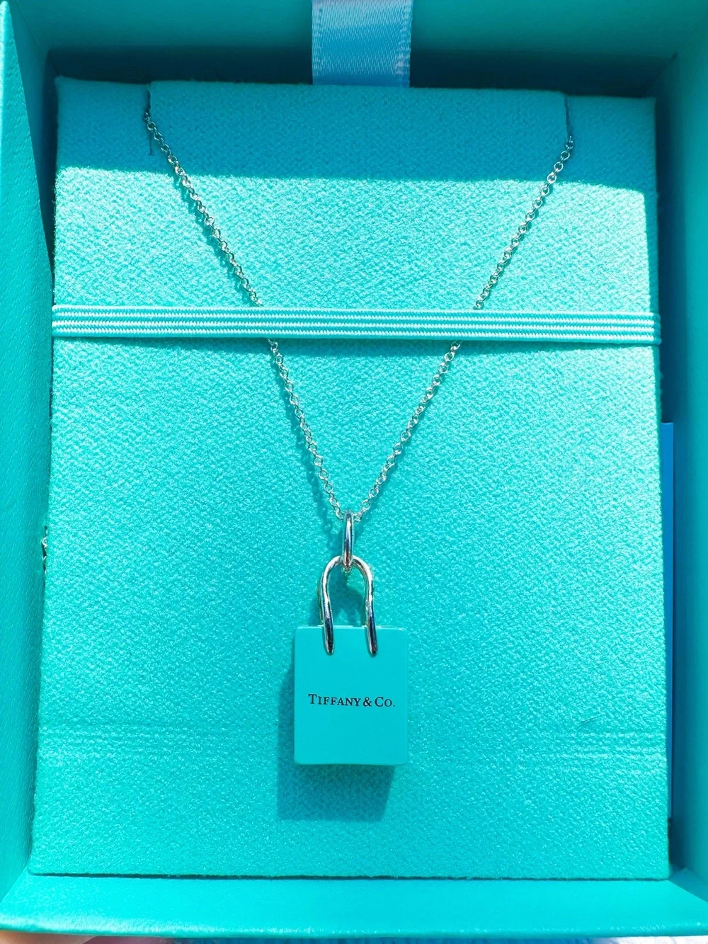 Tiffany & Co Purse Charm Necklace - Picture 1 of 7